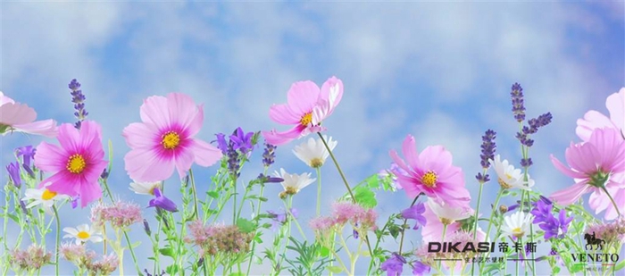 植樹節(jié)|春風(fēng)十里，不如一片綠意